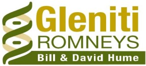 Gleniti Romneys Ltd - Logo