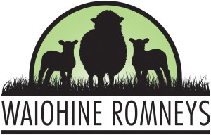 Waiohine Romneys Logo Concepts4