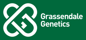 grassendale logo